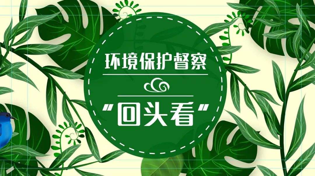 2019年第二輪環(huán)保督查：八項(xiàng)必查點(diǎn)！