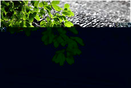 環(huán)境空氣降水中陽(yáng)離子（Na+、NH4+、K+、Mg2+、Ca2+）的測(cè)定離子色譜法