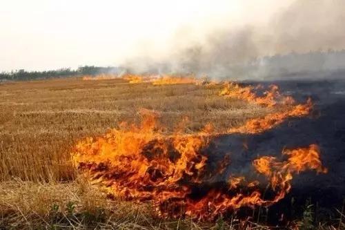 衛(wèi)星遙感秸稈焚燒監(jiān)測(cè)技術(shù)規(guī)范