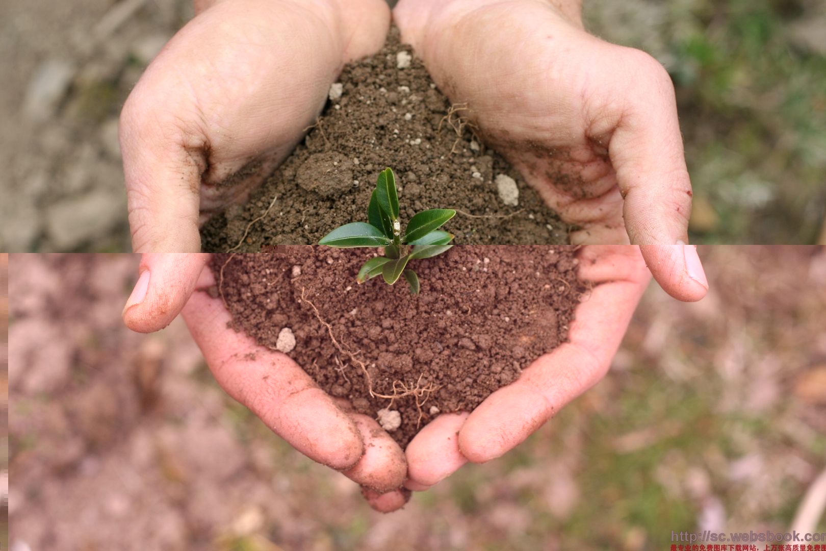 土壤和沉積物 11種元素的測定 堿熔-電感耦合等離子體發(fā)射光譜法