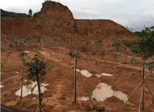 固體廢物 有機(jī)氯農(nóng)藥的測定 氣相色譜-質(zhì)譜法