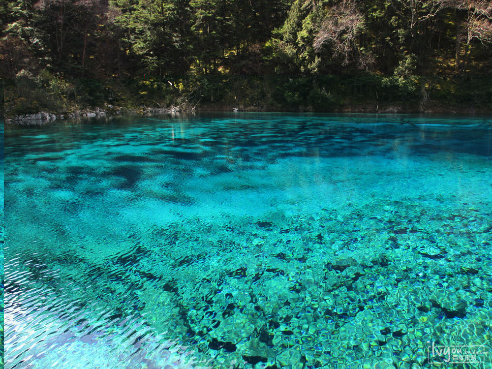 水質(zhì) 4 種硝基酚類化合物的測定 液相色譜-三重四極桿質(zhì)譜法