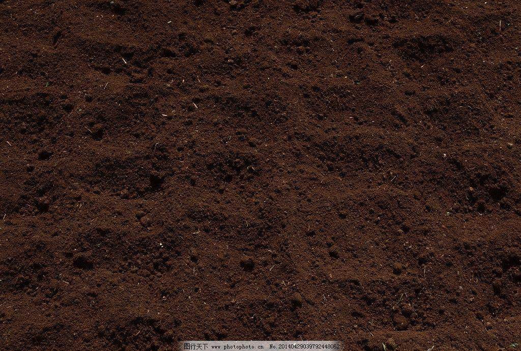 土壤 粒度的測定吸液管法和比重計法